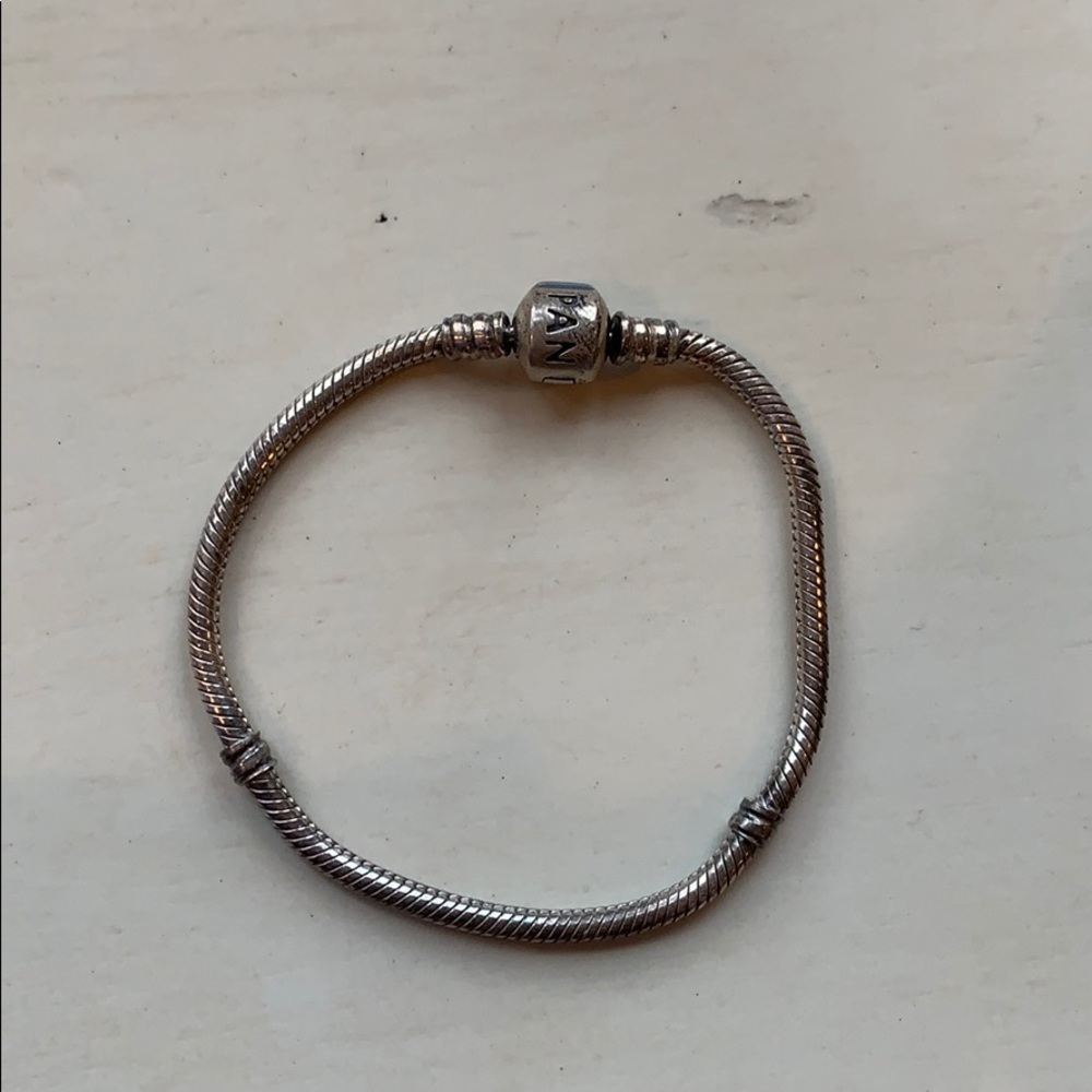 Pandora Charm Bracelet